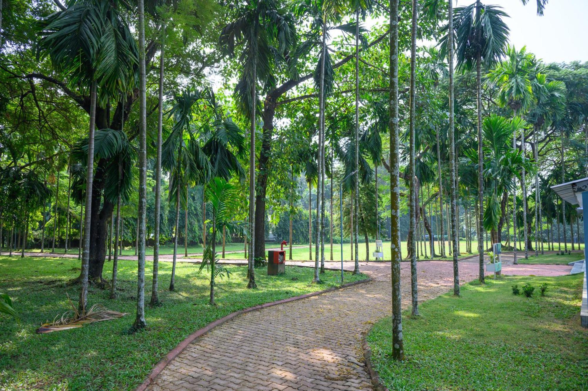 Sinclairs Retreat Dooars, Chalsa Hotel Buitenkant foto