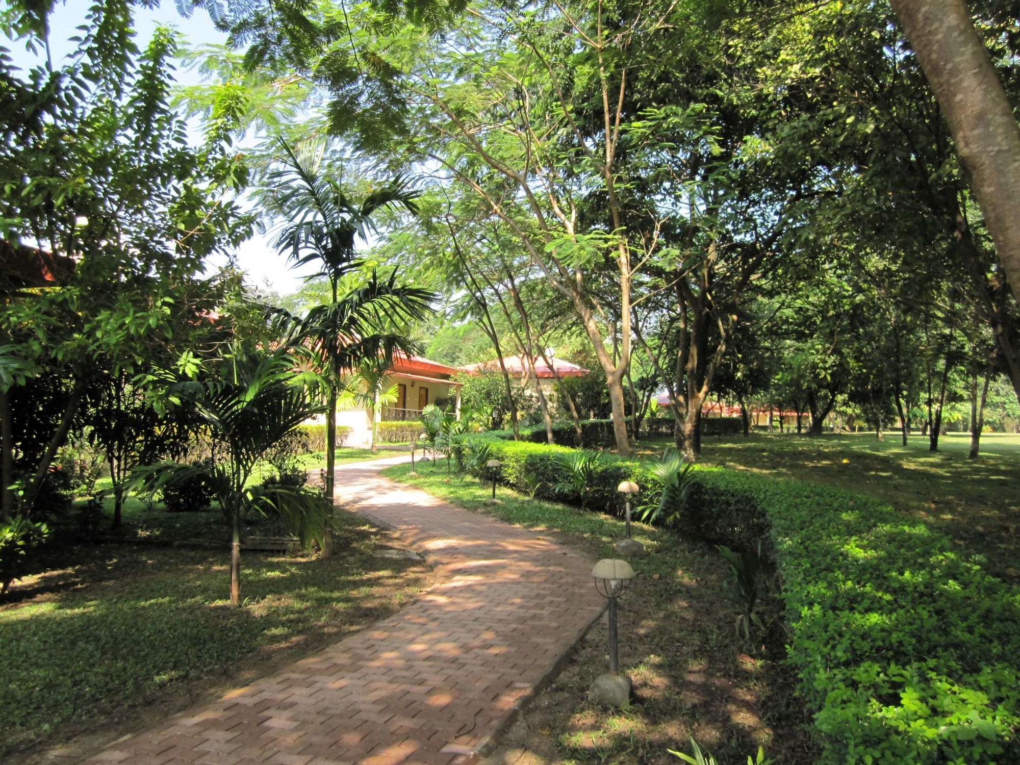 Sinclairs Retreat Dooars, Chalsa Hotel Buitenkant foto